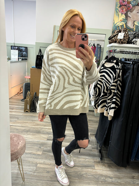 Imogen Zebra Print Knitted Jumper Fits 10-16